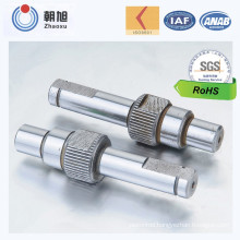 China Manufacturer Custom Made Stainless Screw with Fashionable Design